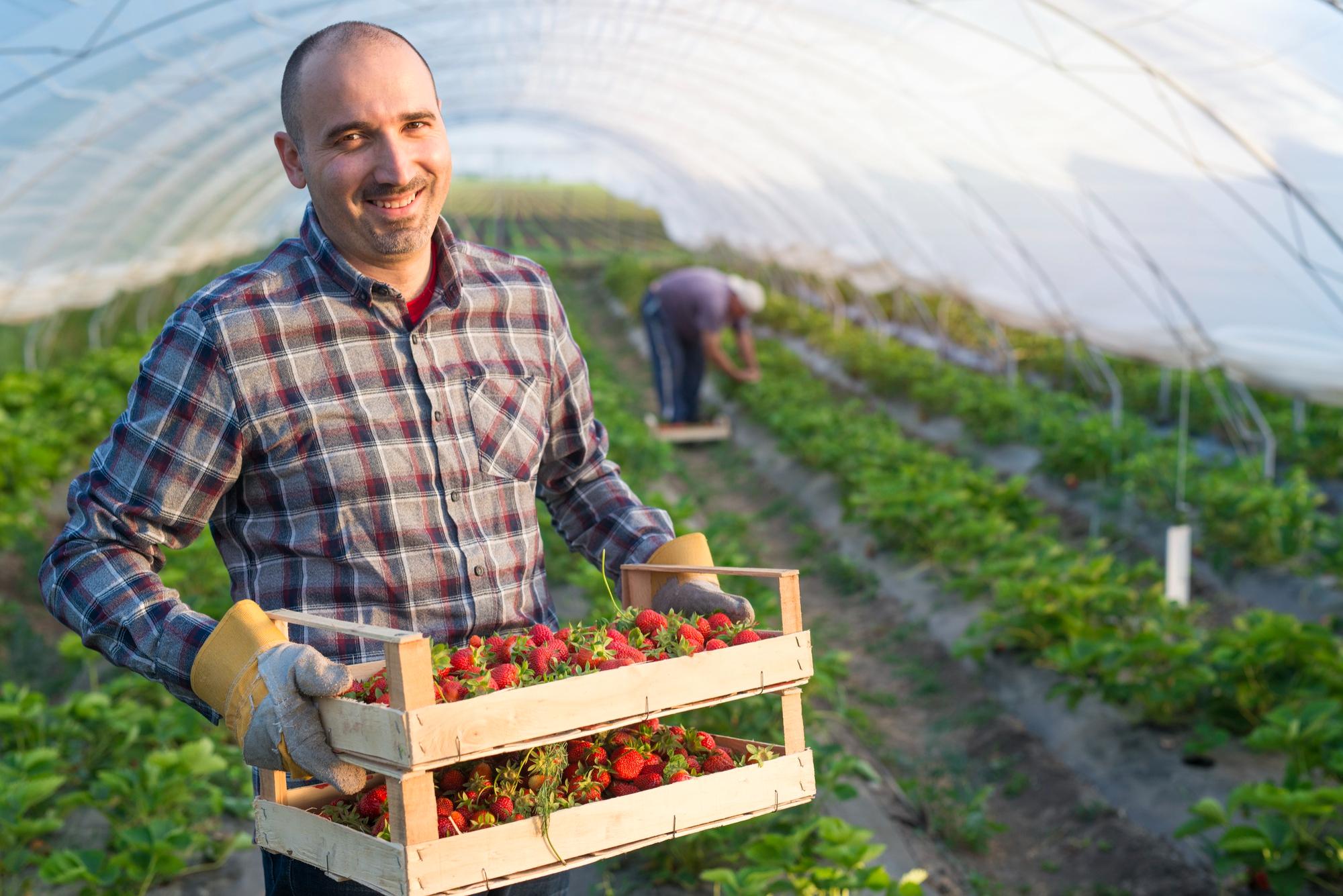 Agriculture